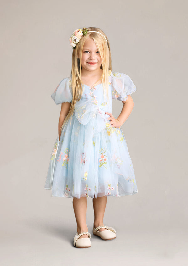 Hannah Rose Fairy in the Garden Dress - Blue