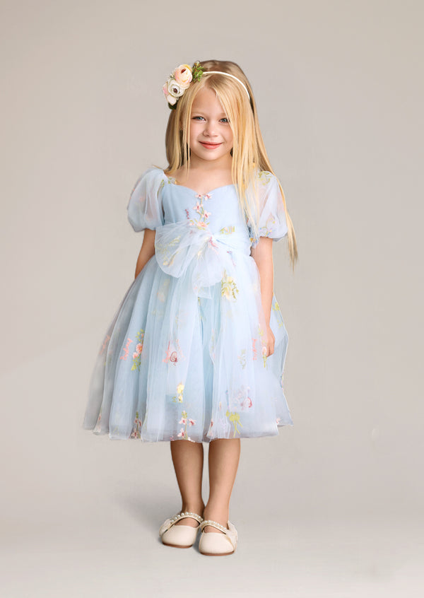 Forget Me Not Fairy Light Blue Floral Party Dress