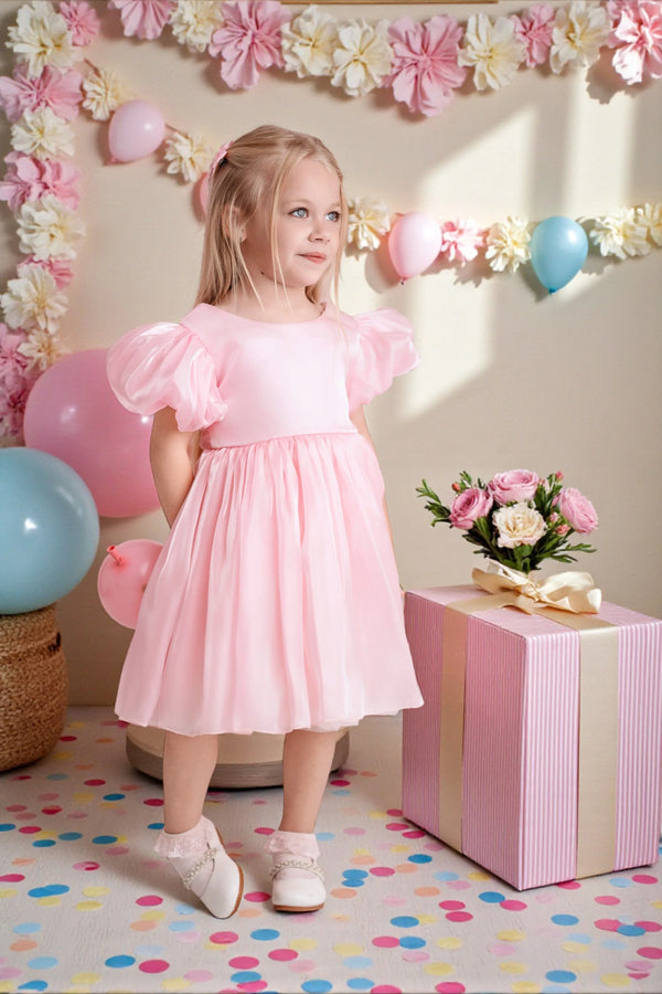 Twinkle Birthday Party Dress in Pink