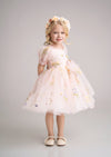 Hannah Rose Garden Fairy Dress in Pink