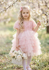 Pink Rosette Mesh Dress  Puff Sleeves & Knee‑Length Skirt
