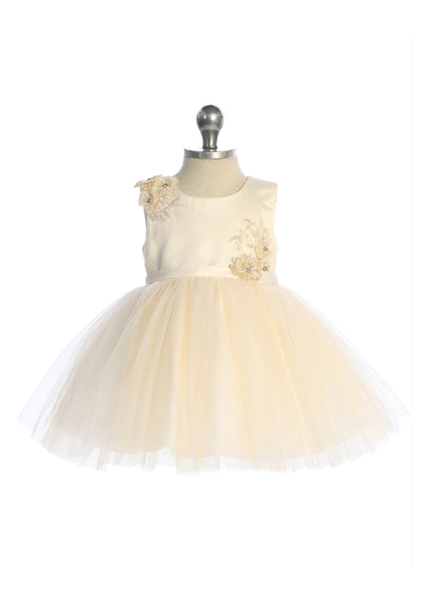 Sheer Mesh Floral Dress  Knee‑Length Classic Elegance Champagne