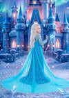 Blue Snow Princess Gown - The Ice & Snow Gown
