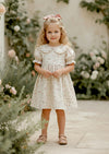 Girls Cream Check Dress with Roses - Toddler Dresses