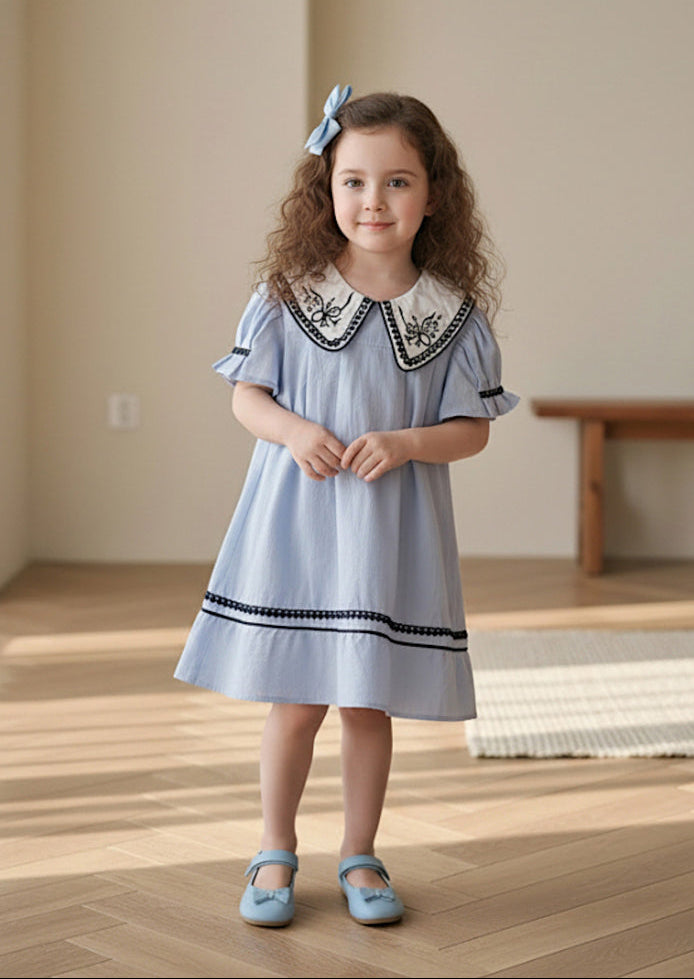 Toddler Girl Textured Cotton Dress in Blue