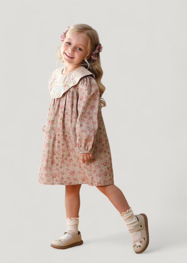 Calliope Embroidered Linen Print Dress