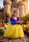 Classic Storybook Princess Gown – Girls Fairytale Dress