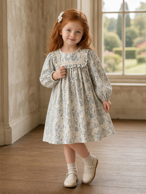Daisy Belle Girls Print Dress in Blue | Toddler Fall Dresses