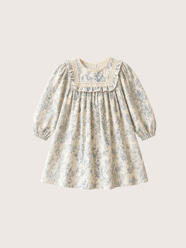 Daisy Belle Girls Print Dress in Blue | Toddler Fall Dresses