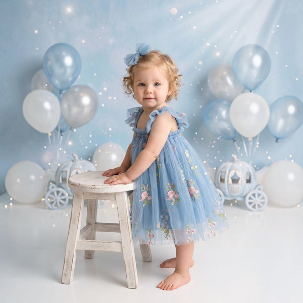 embroidered tulle tutu dress baby girl cake smash outfit in blue