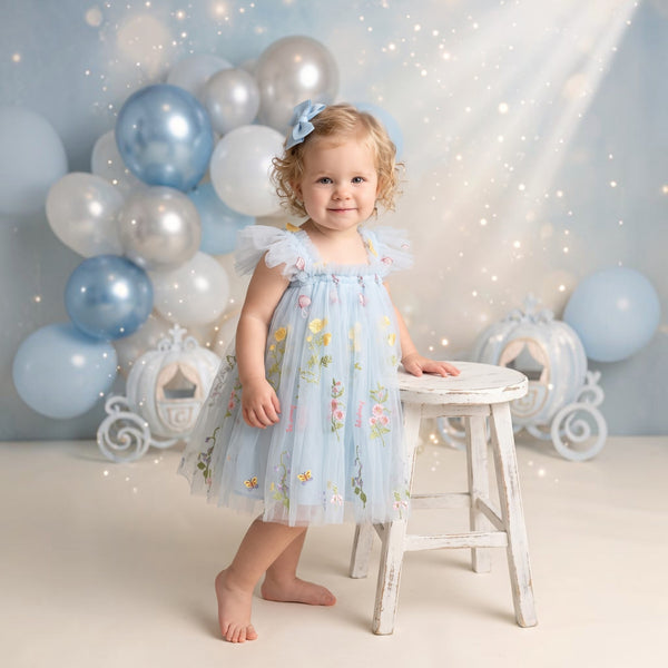 embroidered tulle tutu dress baby girl cake smash outfit in light blue