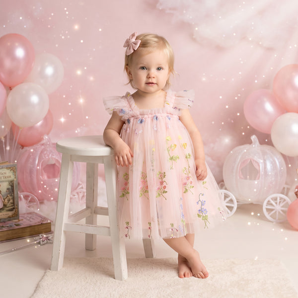 embroidered tulle tutu dress baby girl cake smash outfit in pale pink