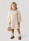 toddler girl classic embroidered dress