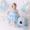 Fairy Tutu Party Dress in Blue | cake smash dress for baby girl