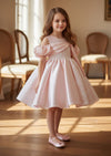 Toddler Girl Francesca Party Special Occasion Flower Girl Dress Pink