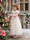 Silver Bow Dream Dress | Ivory Tulle Special Occasion Dress for Girls