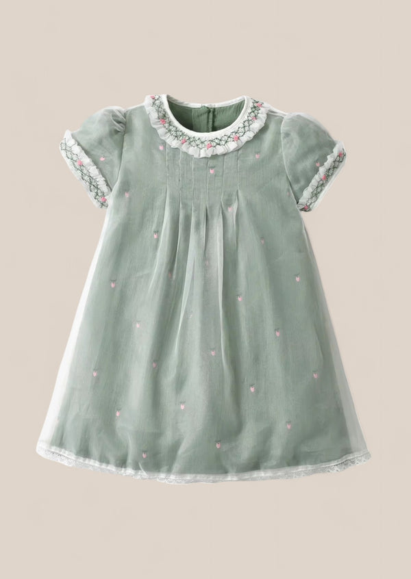 Toddler Girl Embroidered Dress