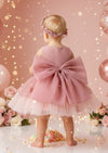 Baby Girl Pink Birthday Party dress with illusion neckline and applique flowers back view