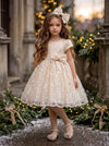 Alarie Girls Ivory Crystal Lace Party Dress - Flower Girl Dresses