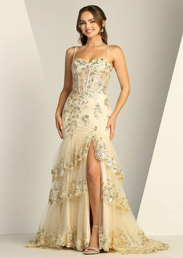 Champagne Glitter Tulle Gown | Elegant Appliqué Dress
