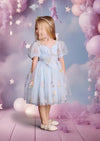 Forget Me Not Fairy Light Blue Toddler Girl Floral Party Dress