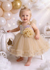Champagne Sequin Cake Smash Tutu Party Dress
