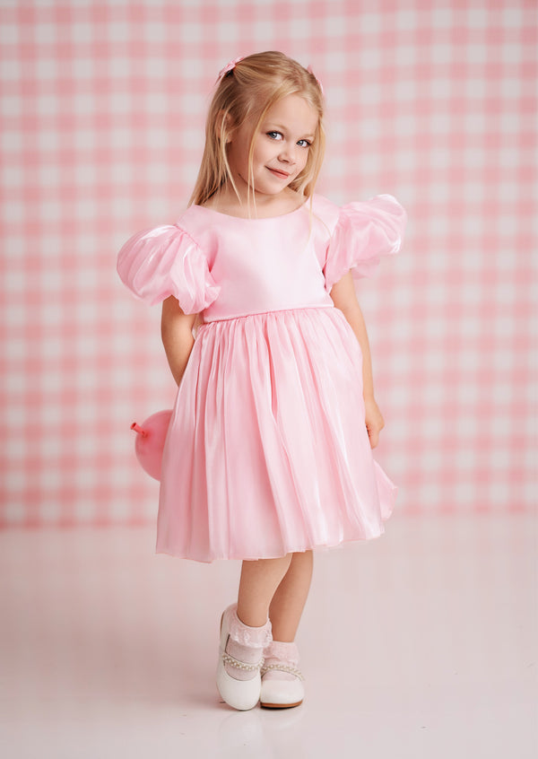 Mirabelle Puff Sleeve Party Dress in Pink