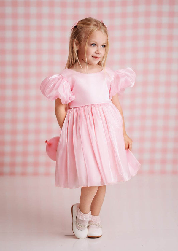 Mirabelle Puff Sleeve Party Dress in Pink