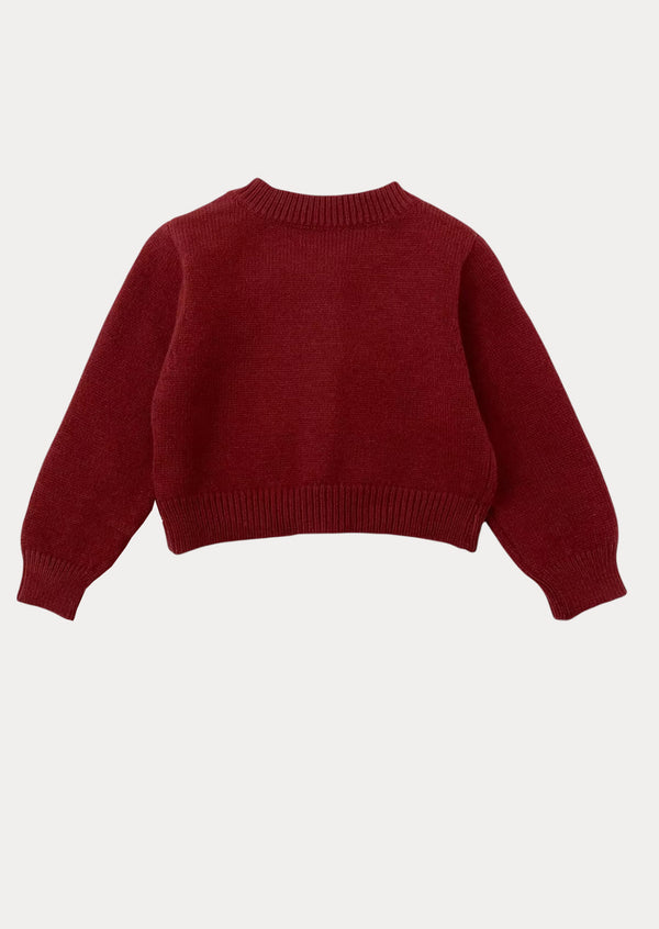 Cherry Mirth Dress & Sweater Set