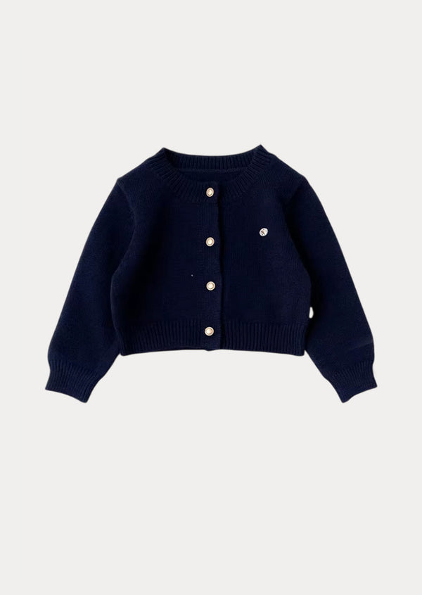 Navy Mirth Dress & Sweater Set