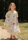 toddler girl classic dress