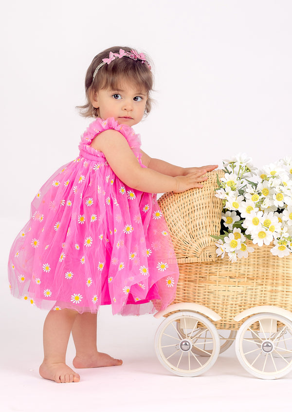 Pink Baby Girl Birthday Tutu Dress