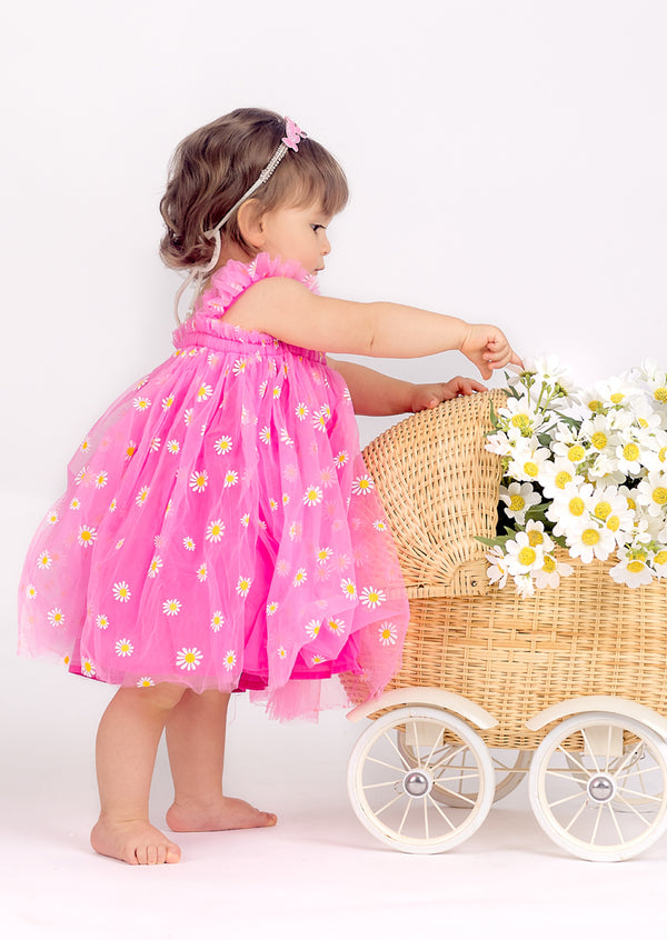 Pink Baby Girl Birthday Tutu Dress