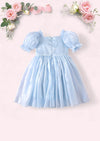 Moonbeam Puff Sleeve Dress in Powder Blue