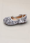 Sara Sequin Flats in Silver