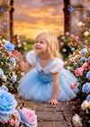 Glass Slipper Leotard Tutu Costume - Little Girls Costumes & Dress Up