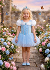 Glass Slipper Leotard Tutu Costume - Little Girls Costumes & Dress Up