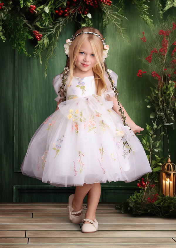 Toddler girl white embroidered tulle party dress