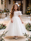 Winter Rose Dress