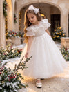 Winter Rose Dress