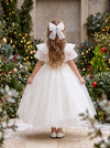 Winter Rose Dress