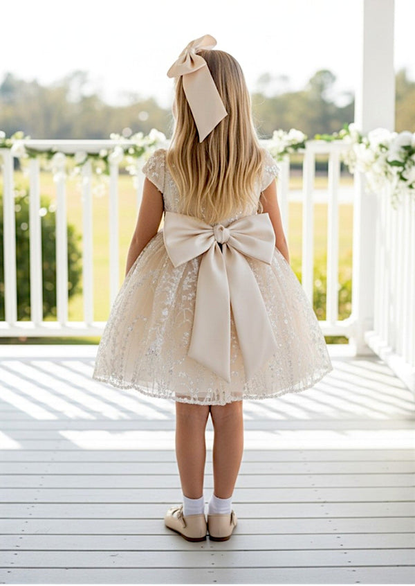 Alerie Dress in Ivory - 