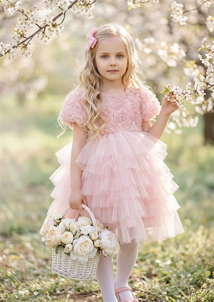 arabella-dress-pink-6818781.jpg