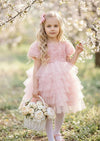 Arabella Dress Pink - 