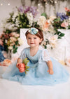 Blue Toddler Flower Girl Dress with Sleeves Boho Rustic Special Occasion
