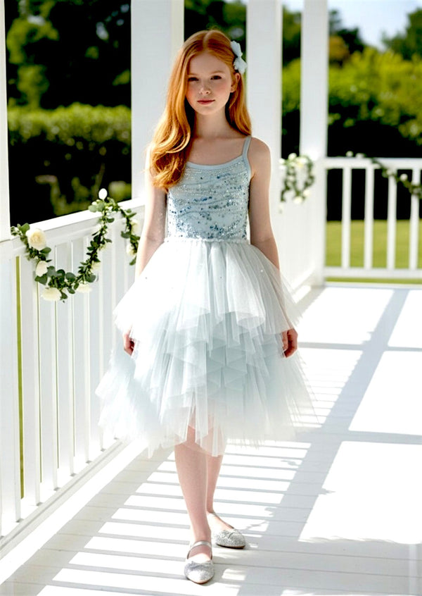Bellona Dress in Blue - 