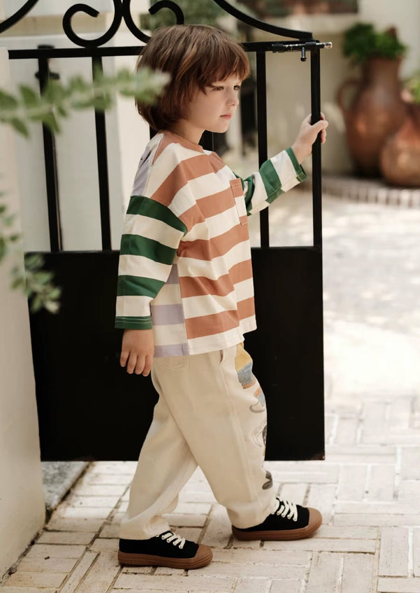 Boys Color Block Multi Stripe Long Sleeve Tee - 