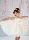 Cala Beaded Lace Satin & Tulle Dress - 