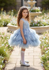 Cosette Dress Blue - 