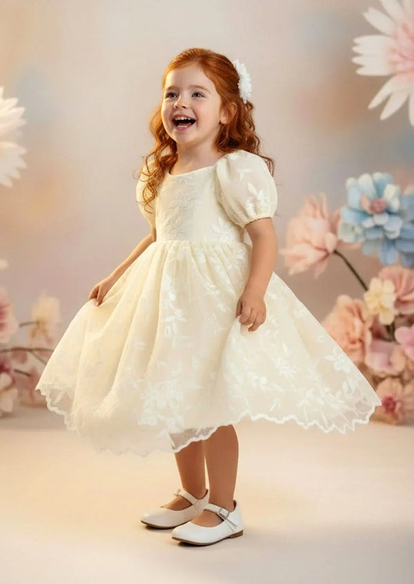 Embroidered Lace Dress in Ivory - 